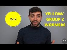 Embedded thumbnail for FarmVetFilms: YELLOW / GROUP 2 WORMERS | TECHNICAL #33