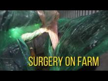 Embedded thumbnail for Surgery on Farm: LDA Correction 
