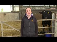 Embedded thumbnail for AHDB - Calf House Hygiene