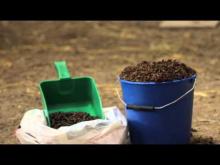 Embedded thumbnail for Goat feeding (advice from the British Goat Society)