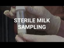 Embedded thumbnail for Sterile Milk Sampling 